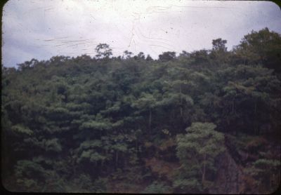 Panama_Canal_1950_28John_Janowski29c.jpg