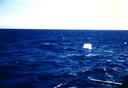 Filename=page035.jpg
Filesize=624KiB
Dimensions=3396x2340
Date added=Sep 26, 2025 page035.jpg